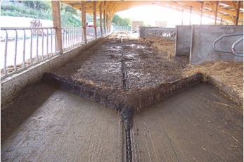 Racleur &agrave; cha&icirc;ne marine